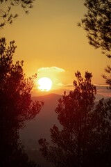Fototapeta premium coucher de soleil dans la forêt