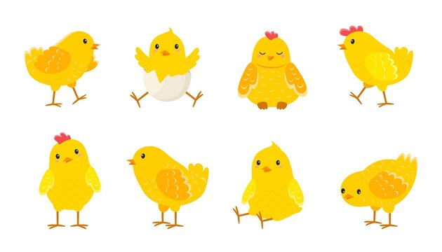 Cartoon Easter chicks. Baby farm birds with yellow feathers. Cheerful little chickens and roosters activities. Domestic animals hatched from eggs. Isolated newborn poultry, vector set