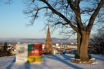 Würfel Freiburg 2020 mit Münster im Hintergrund