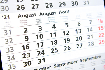 Calendar planner for the month August 2021