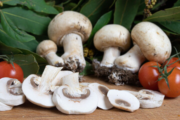 Funghi prataioli