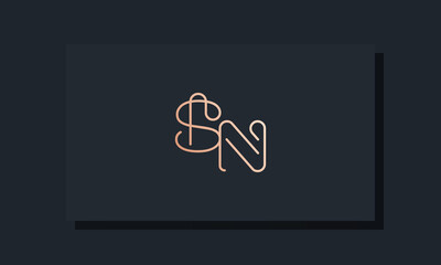 Minimal clip initial letter SN logo