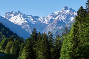 Berggipfel der Allgäuer Alpen im Morgenlicht
