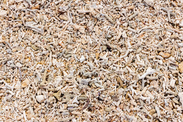 Coral beach, top view. Fragile white coral on the beach.
