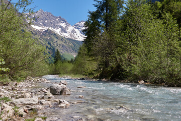 Bergsommer im mittleren Oytal