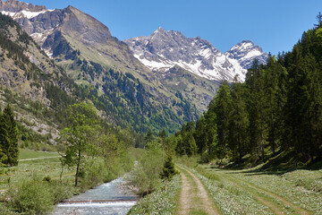 Bergsommer im mittleren Oytal
