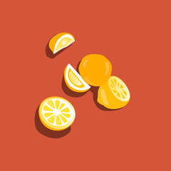  Lemon illustration. Vector graphics. Lemon slices, fruits, top view.