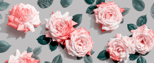 Pink roses with green leaves overhead view - flat lay