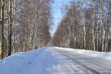 Road. Trees. Winter