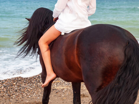 Joven amazona con vestido blanco domando a su caballo marron sin montura en la playa