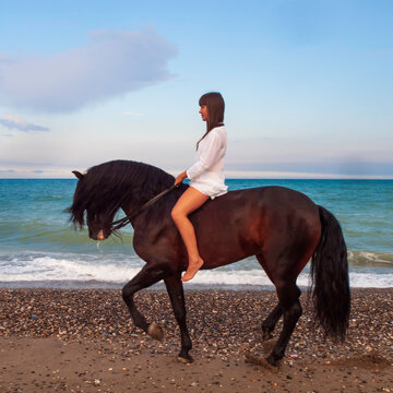 Joven amazona con vestido blanco domando a su caballo marron sin montura en la playa