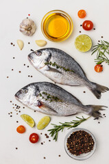 Fresh fish dorado fish on white table with ingredients for cooking