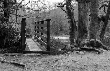 Brittany, France; February 17, 2021: black and white photo of the small bridge of the Val sans retour in the forest of Paimpont, next to the Fairy mirror of the fairy forest of Brocéliande,Tréhorente.
