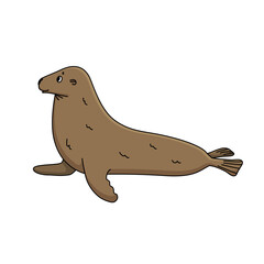 Vector cute outline cartoon illustration of cute brown fur Seal. Single doodle isolated animal on white background. Side view