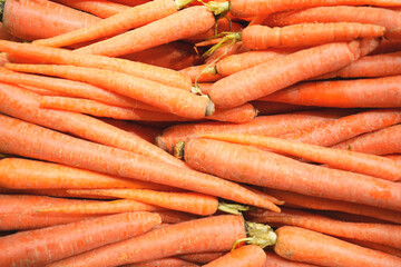 Fresh Carrot