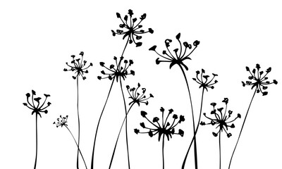 Background with inflorescences silhouettes. Grass. Herbs. Spring or summer floral background. - obrazy, fototapety, plakaty