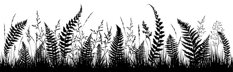 Background with fern leaf silhouettes and herbs.