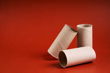 An empty cardboard toilet paper tube close up