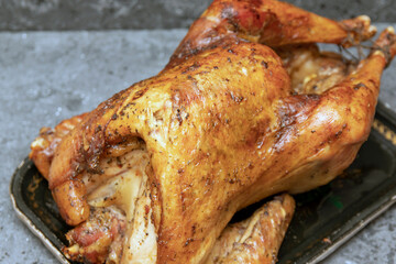 Festive Roast Turkey and Gravy Celebration for Thanksgiving or Christmas