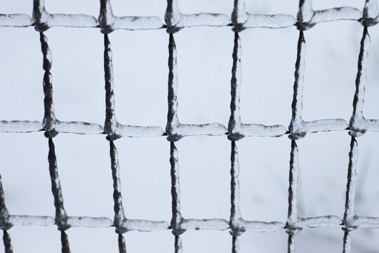 iron wire fence covered by ice