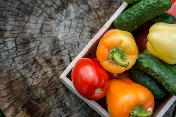 Wooden box with fresh vegetables (tomato, cucumber, bell pepper) in the garden, on the farm. Selective focus, Close up.