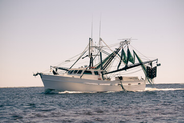 Obraz premium Shrimp Boat Trawling