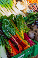 Fototapeta premium Fresh rainbow swiss chard or mangold plant in a food farmer's market ready for sale. Colorful Leafy vegetable for a healthy diet that can feature in salads, pasta, Mediterranean cuisine and more