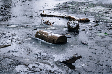 Wood logs and half-rotten wood floating in a frozen lake