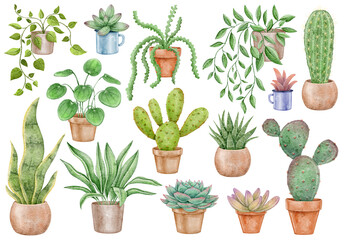 Aquarel set huisplanten en potten: cactussen, vetplanten. Set voor het maken van decor voor het huis. Planten op een witte achtergrond elementen voor ontwerp en decoratie