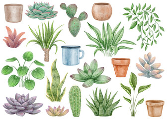 Watercolor set home plants and pots: cacti, succulents. Set for creating decor for the house. Plants on a white background elements for design and decoration