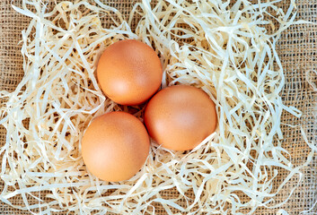 chicken egg shot close-up in the studio