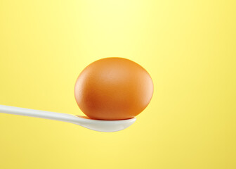 chicken egg shot close-up in the studio