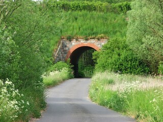 Tunel tonący w zieleni