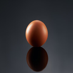 chicken egg shot close-up in the studio