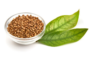 Dried coriander, isolated on white background. High resolution image