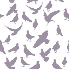 The seamless background of the pigeons. Vector illustration