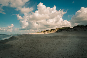 Cloudy beach on the shore of the ocean