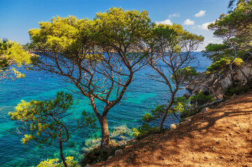Trees on the slope of mountain against the blue sky.