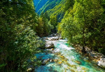 Fototapeta na wymiar El río Soca, con sus características aguas de color verde, sus rápidos y su abundante vegetación en el corazón de los Alpes Julianos cerca de Trenta, Eslovenia
