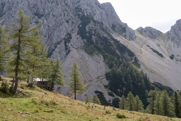 Footpath from the Klagenfurter Hütte hut to the top of the Stol in Karavanke, Austria