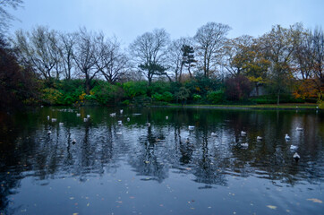 Fototapeta na wymiar View of a small pond in the Saint Stephen's Green park in Dublin, Ireland 