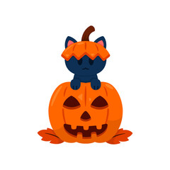 Lovely kitty play hide and seek in a halloween pumpkin, Black Cat in pumpkin isolated on white background