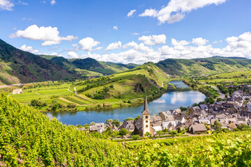 Moselschleife bei Bremm in der Calmont-Region an einem sommerlichen Tag mit blauem Himmel und weißen Wolken