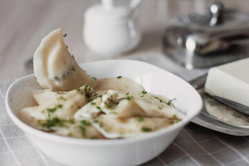 Dumplings, filled with potatoes and served with butter and fennel. Varenyky, vareniki, pierogi, pyrohy. Dumplings with filling.