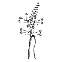 floral vector isolated compositions seamless pattern on postcards and stickers. decorations for greeting cards, invitations, banners, flyers.