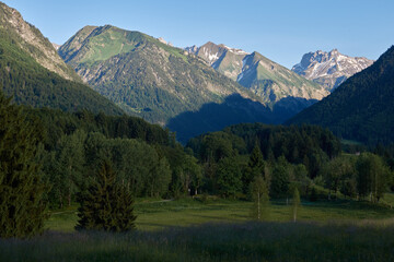Fototapeta na wymiar Berggipfel der Allgäuer Alpen im Morgenlicht
