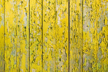 Yellow wooden fence with cracks and old paint.