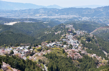 Fototapeta na wymiar 春の吉野山　満開の中千本　奈良県吉野郡