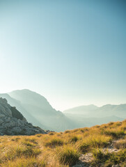 Obraz premium landscape of mountains and sunset with trees in the sierra de tramuntana spain mallorca