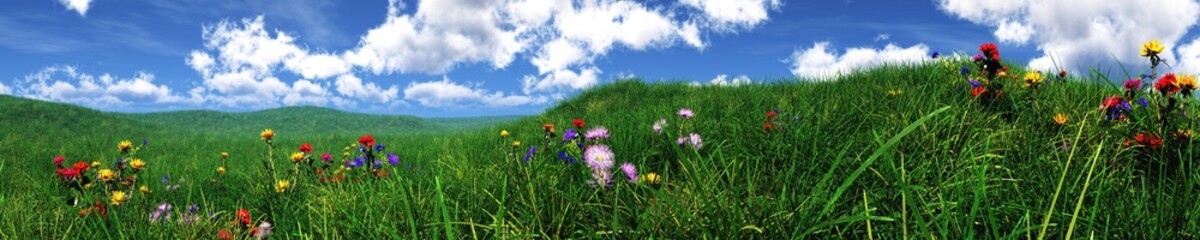 Spring meadow with flowers, green hills, sky with clouds over a meadow with flowers, hills in the grass, 3D rendering